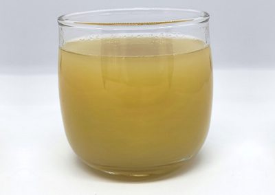Fat Fighting Drink